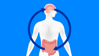 Brain-Gut connection