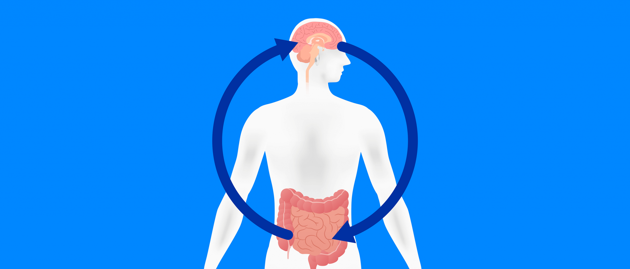 Brain-Gut connection